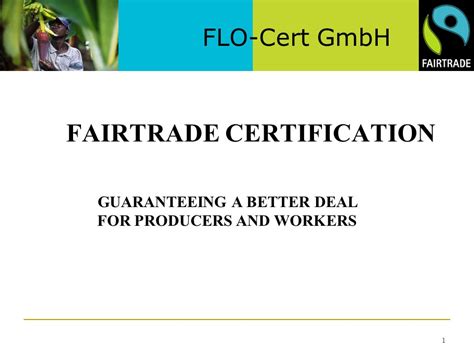 flo cert gmbh.